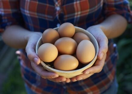 beneficiile ouălor de găină